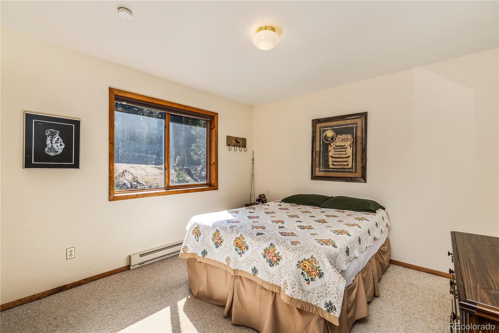 MLS Image #9 for 235  nuthatch drive,alma, Colorado