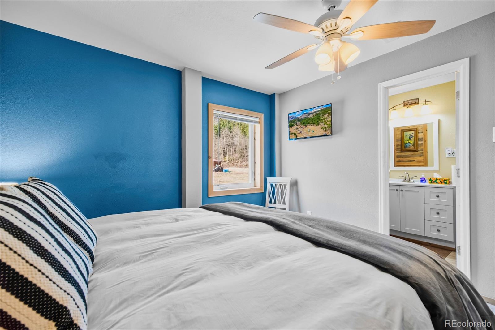 MLS Image #15 for 2491  cr-12 ,alma, Colorado