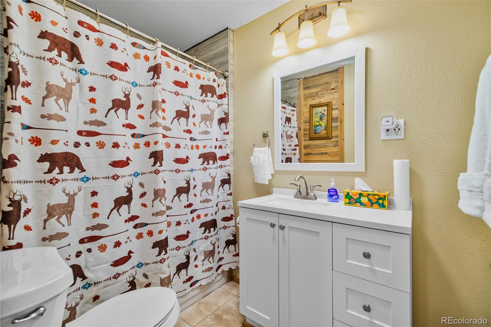 MLS Image #17 for 2491  cr-12 ,alma, Colorado