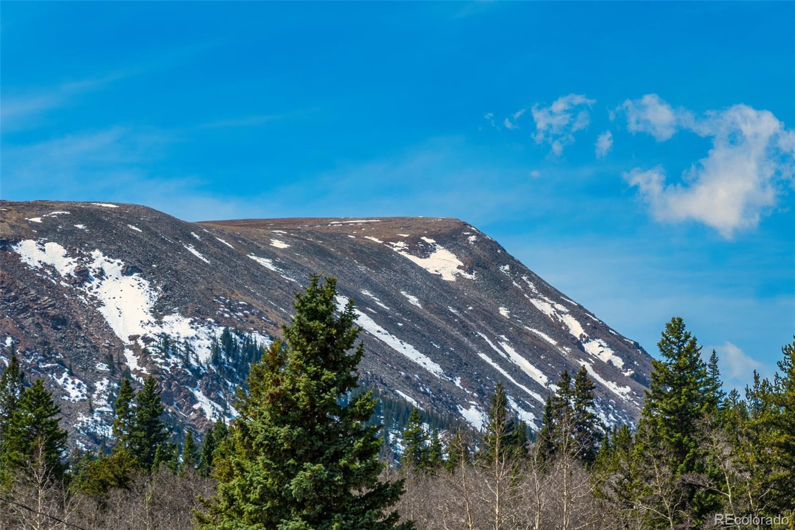 MLS Image #29 for 2491  cr-12 ,alma, Colorado