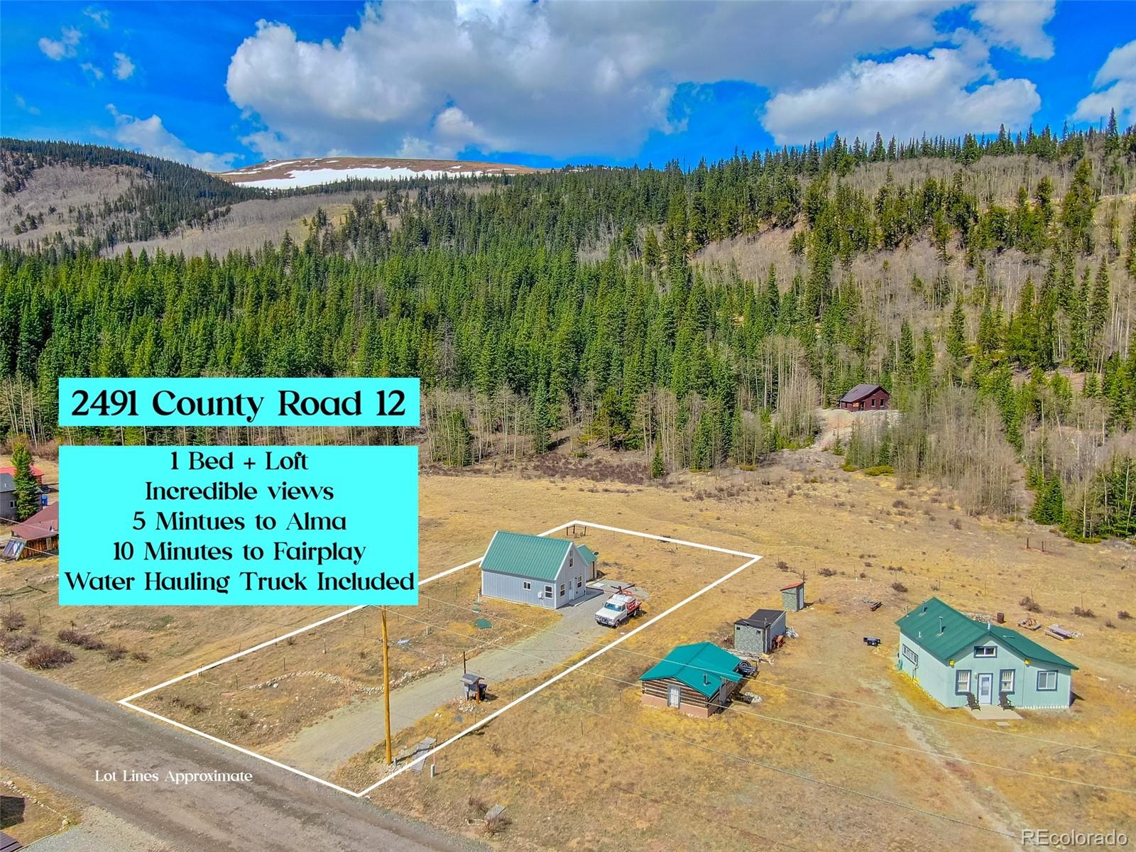 MLS Image #3 for 2491  cr-12 ,alma, Colorado