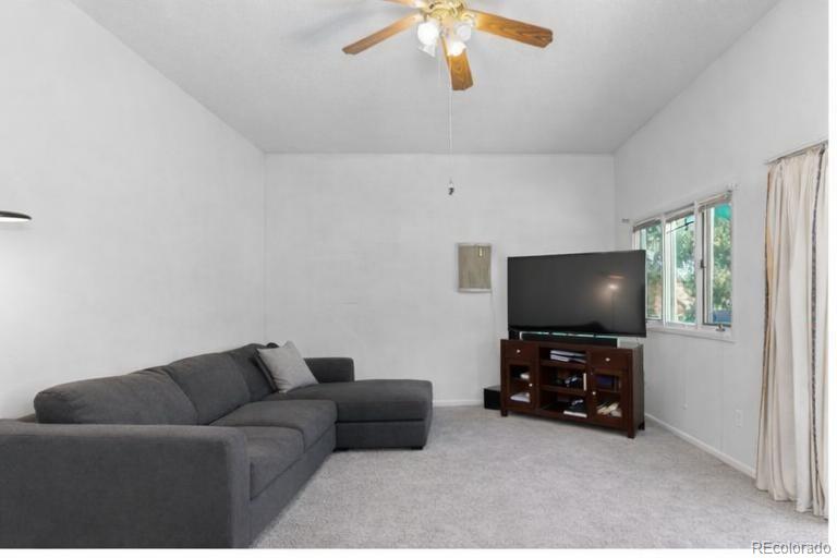 MLS Image #7 for 3520 n fillmore ,denver, Colorado