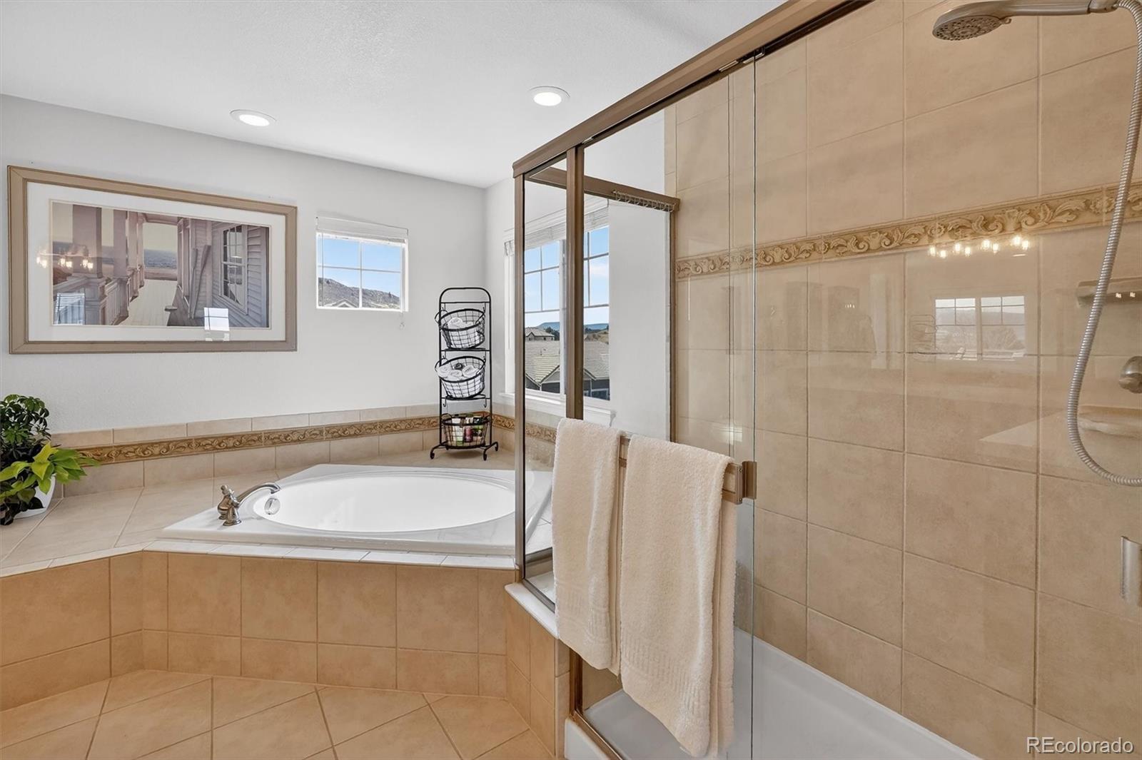 MLS Image #24 for 4945  persimmon lane,castle rock, Colorado