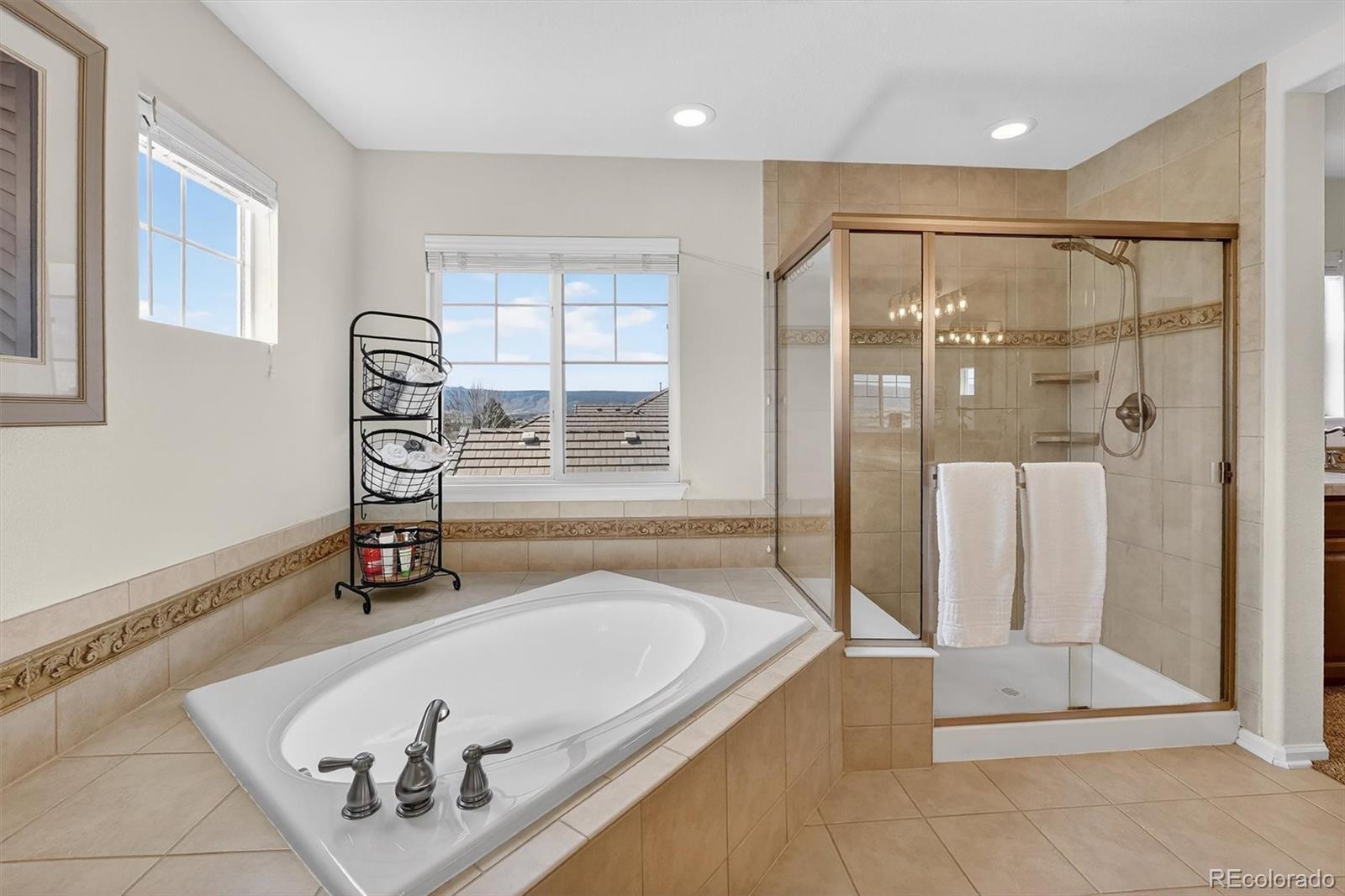 MLS Image #25 for 4945  persimmon lane,castle rock, Colorado