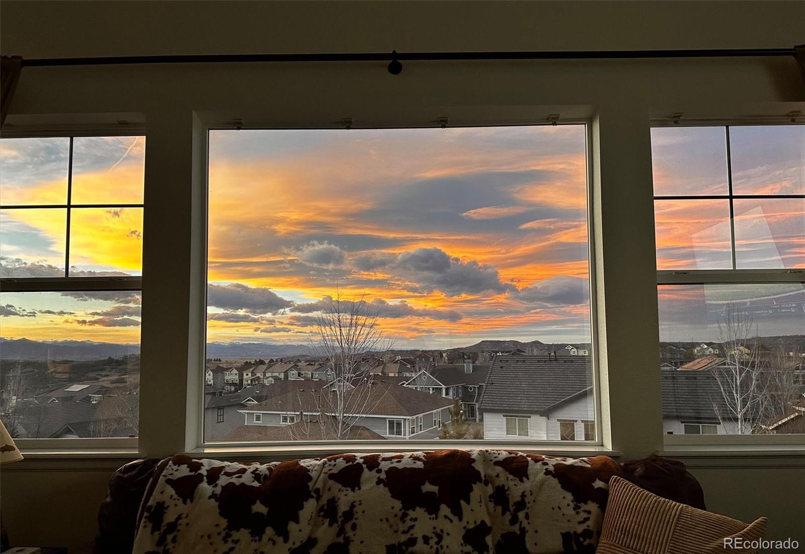 MLS Image #3 for 4945  persimmon lane,castle rock, Colorado