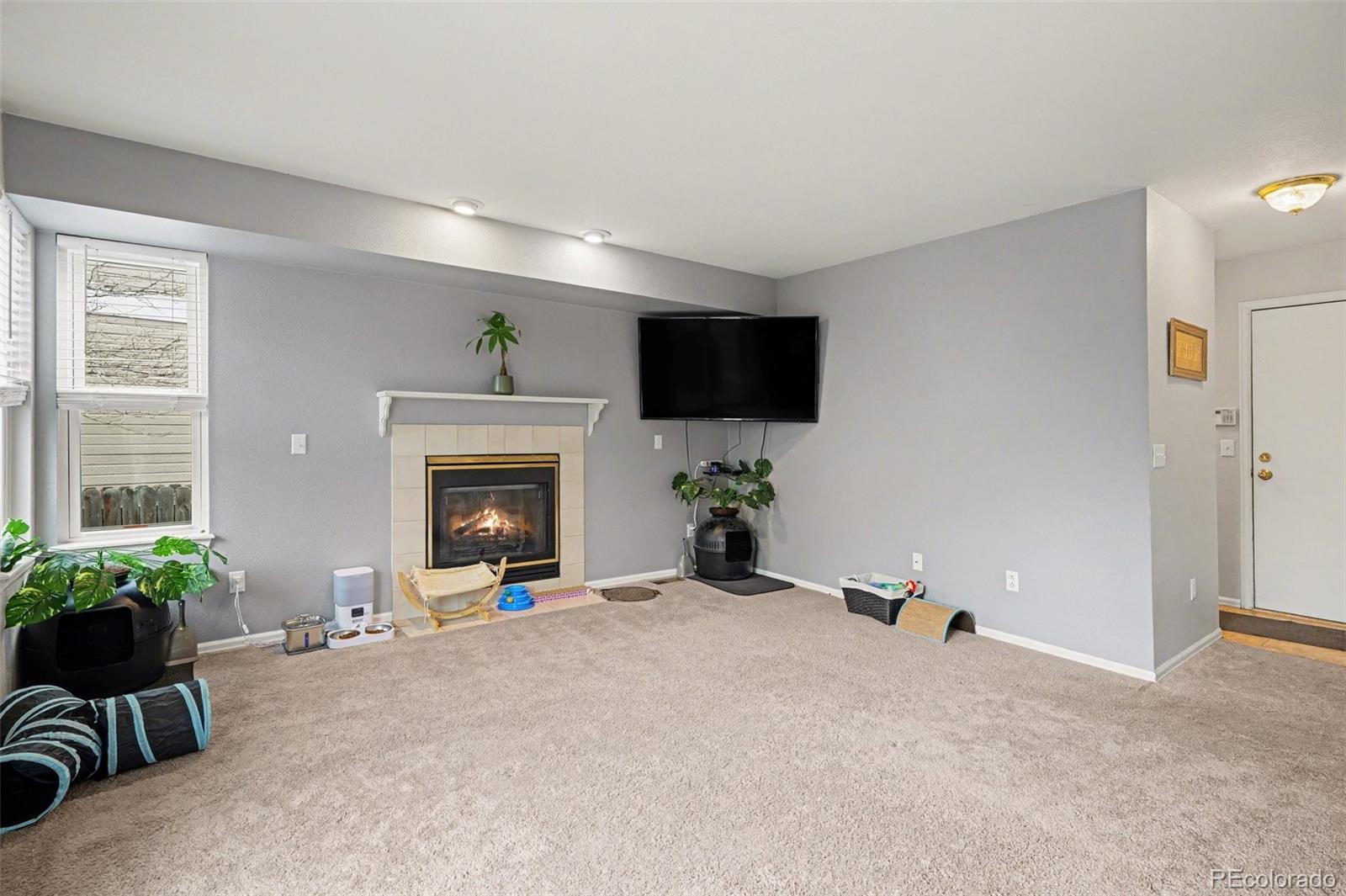 MLS Image #9 for 11349  haswell drive,parker, Colorado