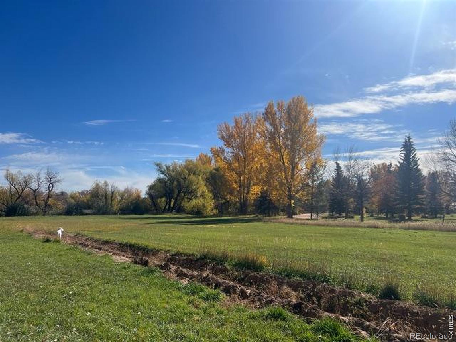 MLS Image #2 for 2916 n shields street,fort collins, Colorado