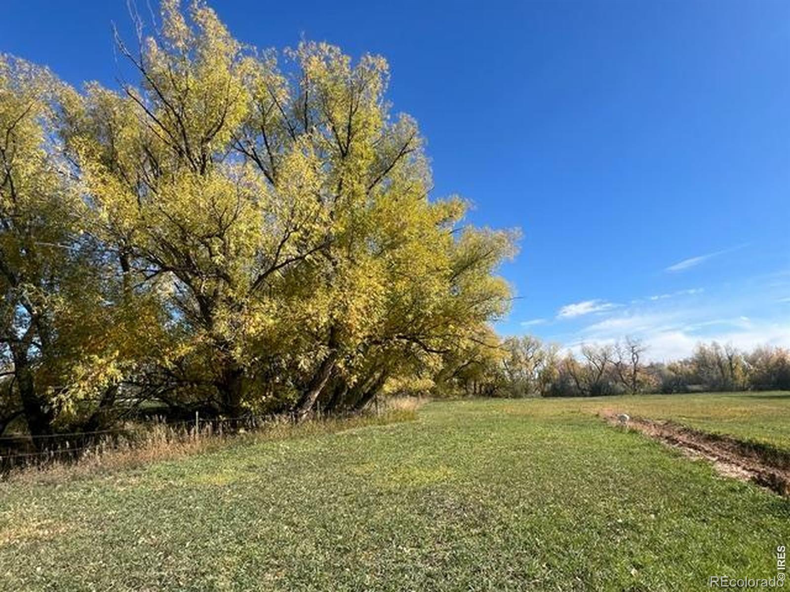 MLS Image #3 for 2916 n shields street,fort collins, Colorado