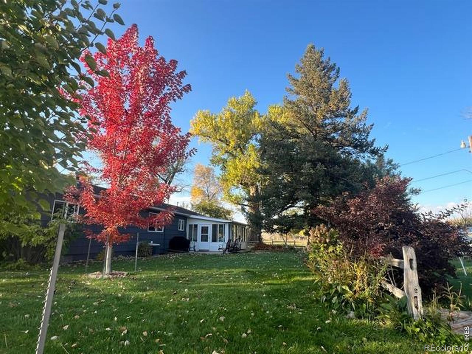 MLS Image #4 for 2916 n shields street,fort collins, Colorado