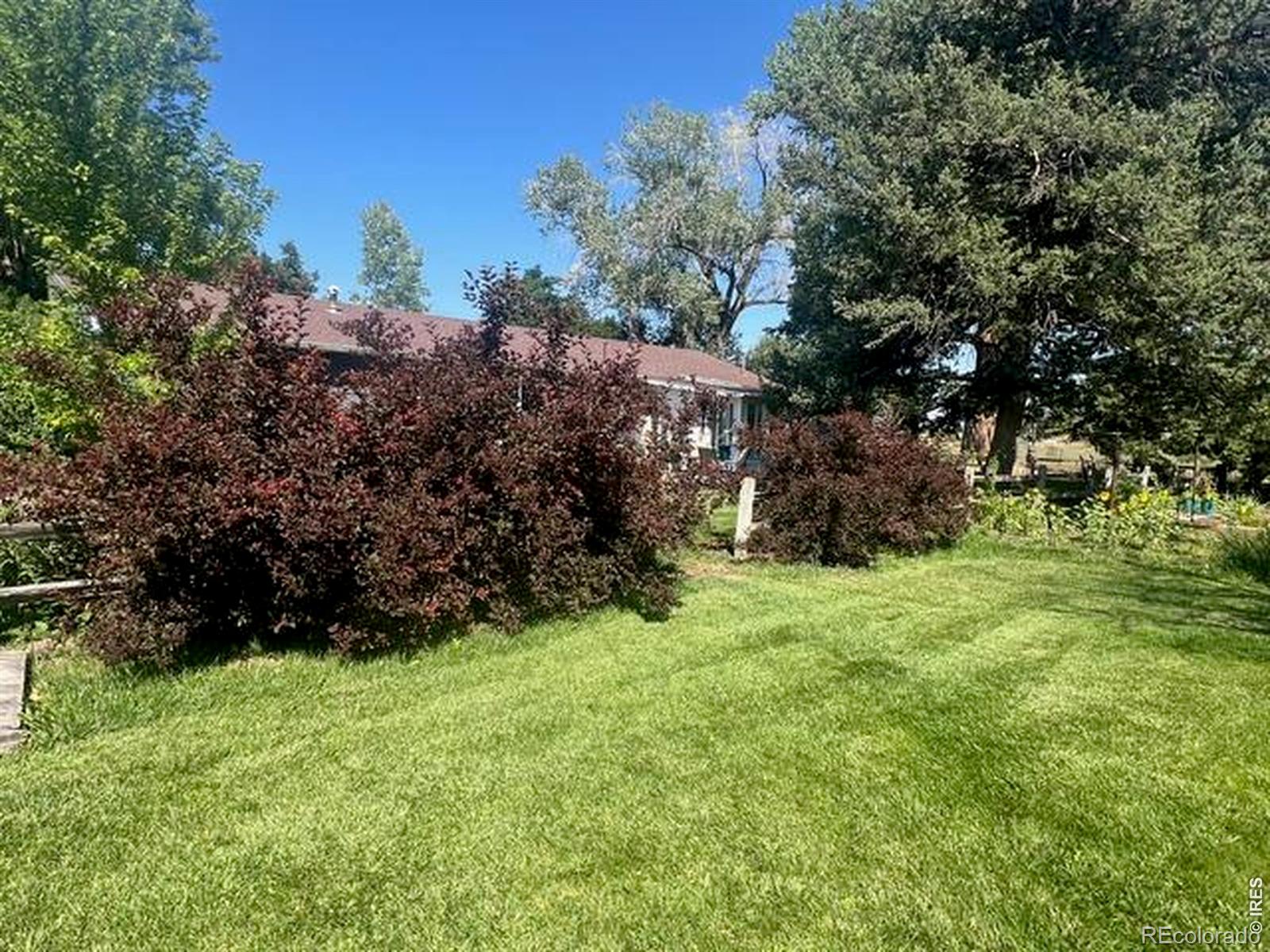 MLS Image #44 for 2916 n shields street,fort collins, Colorado