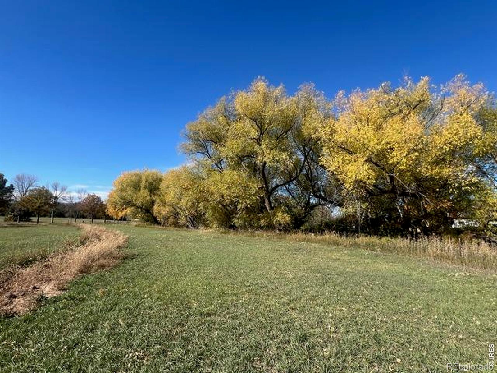 MLS Image #46 for 2916 n shields street,fort collins, Colorado