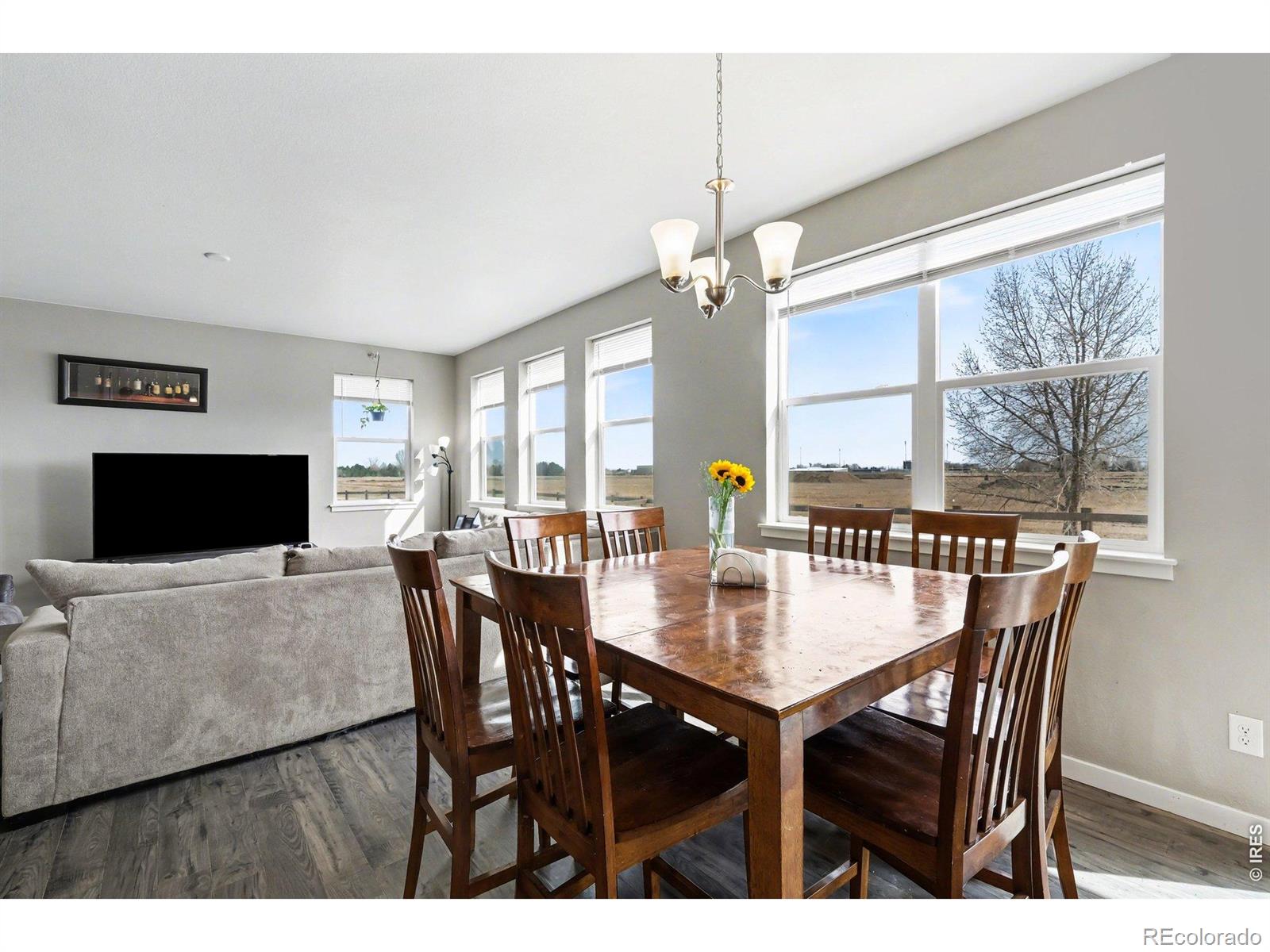 MLS Image #6 for 4327  fox grove drive,fort collins, Colorado