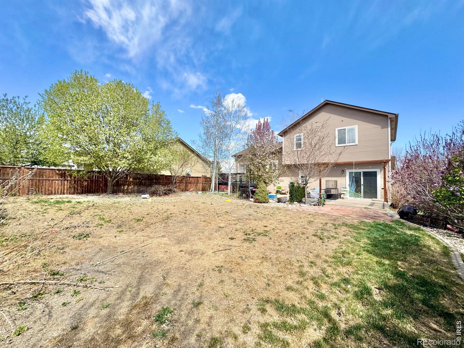 MLS Image #14 for 89  arapaho street,severance, Colorado