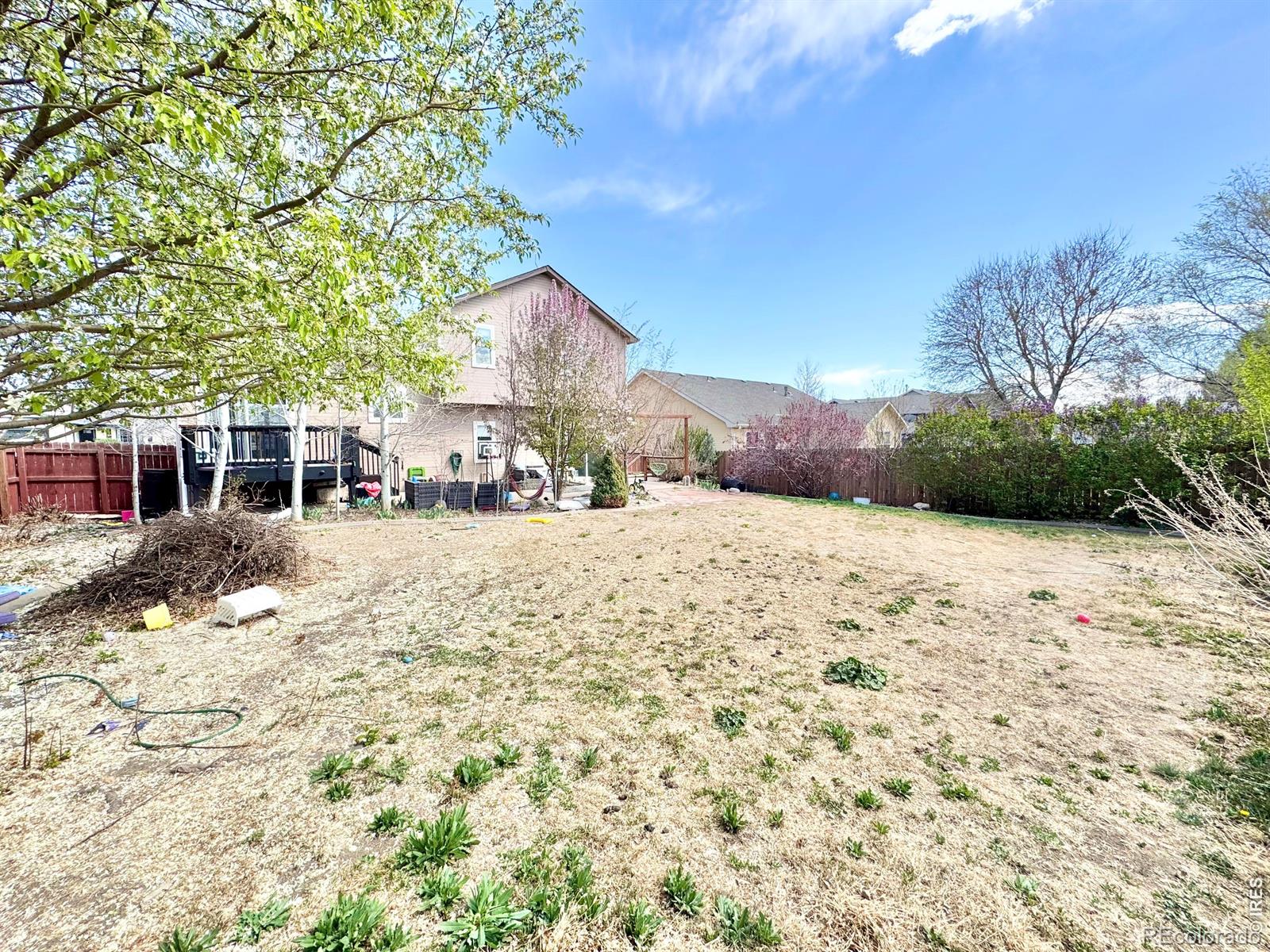 MLS Image #15 for 89  arapaho street,severance, Colorado