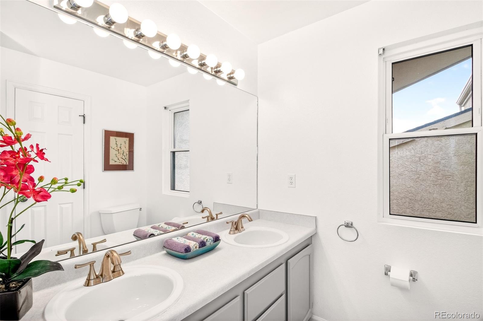 MLS Image #15 for 3427  trenary lane,colorado springs, Colorado