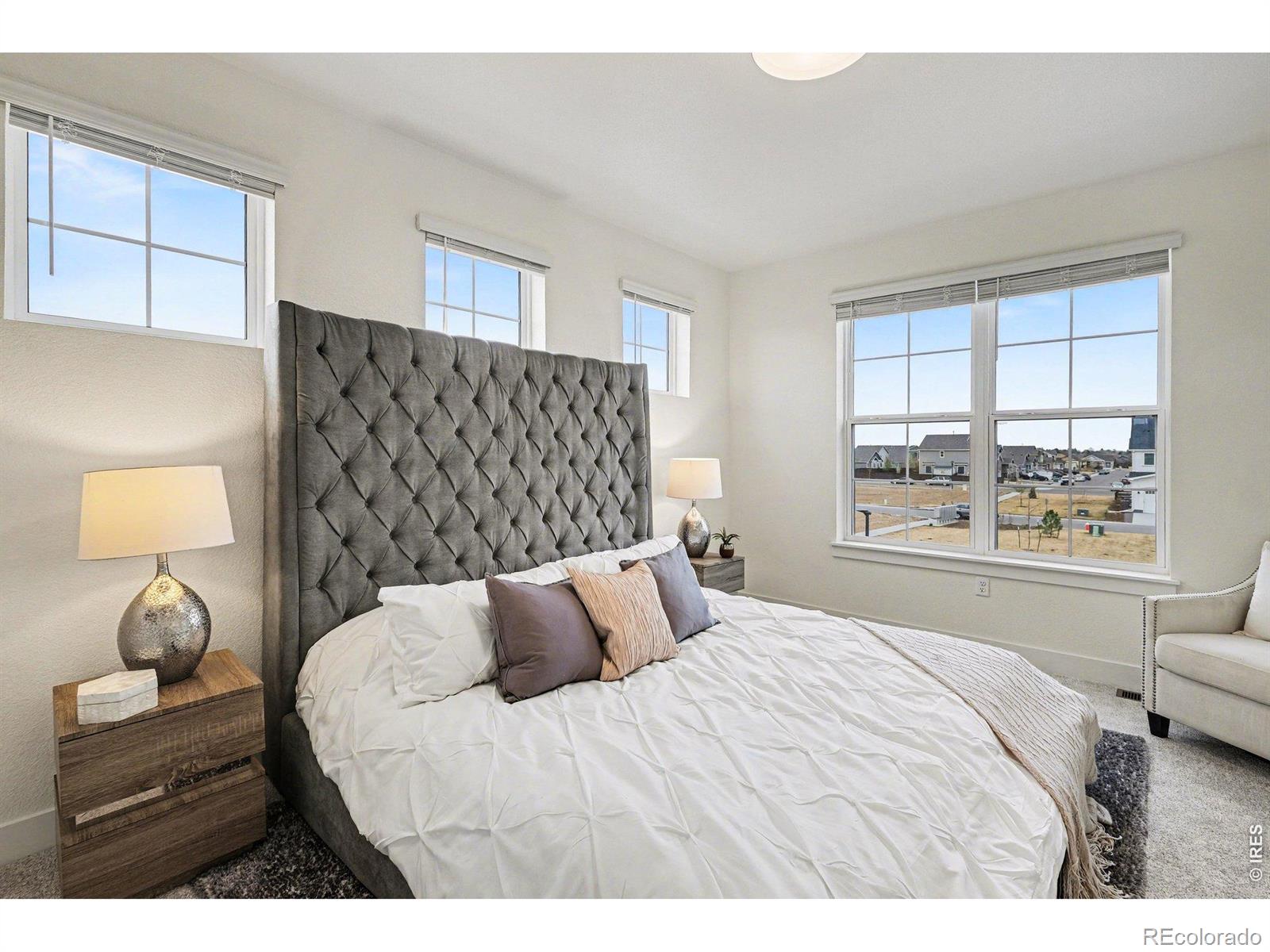 MLS Image #10 for 5098  stonewall street,loveland, Colorado