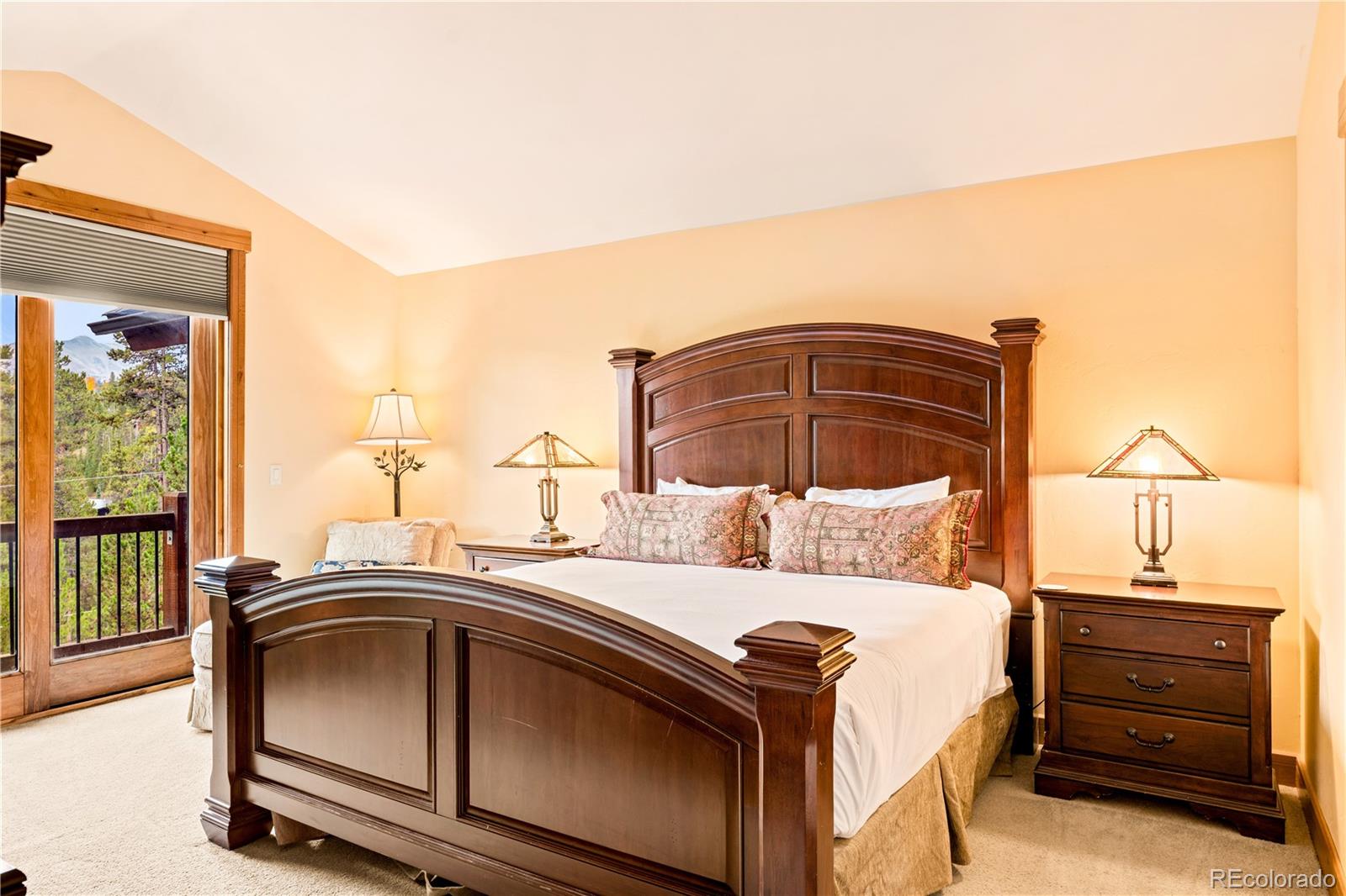 MLS Image #14 for 91  snowshoe circle,breckenridge, Colorado