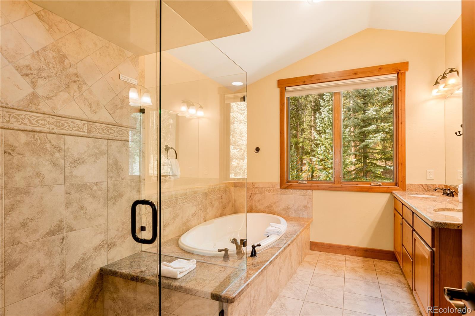 MLS Image #16 for 91  snowshoe circle,breckenridge, Colorado