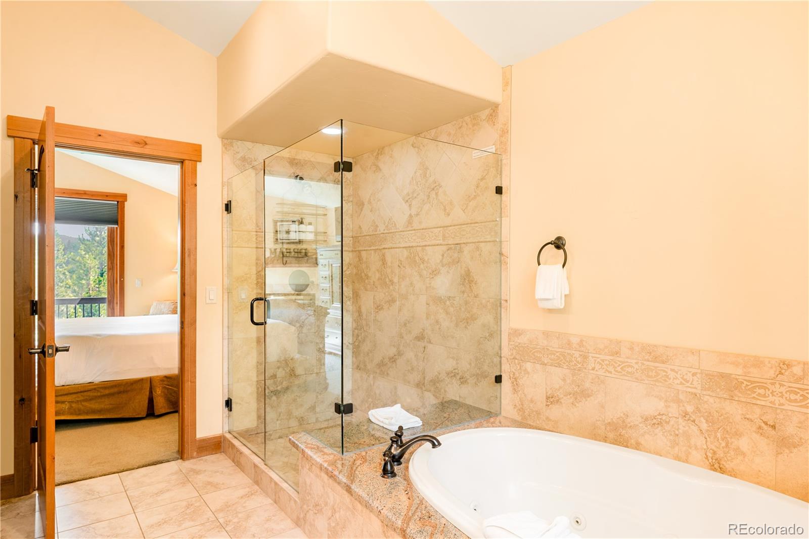 MLS Image #17 for 91  snowshoe circle,breckenridge, Colorado