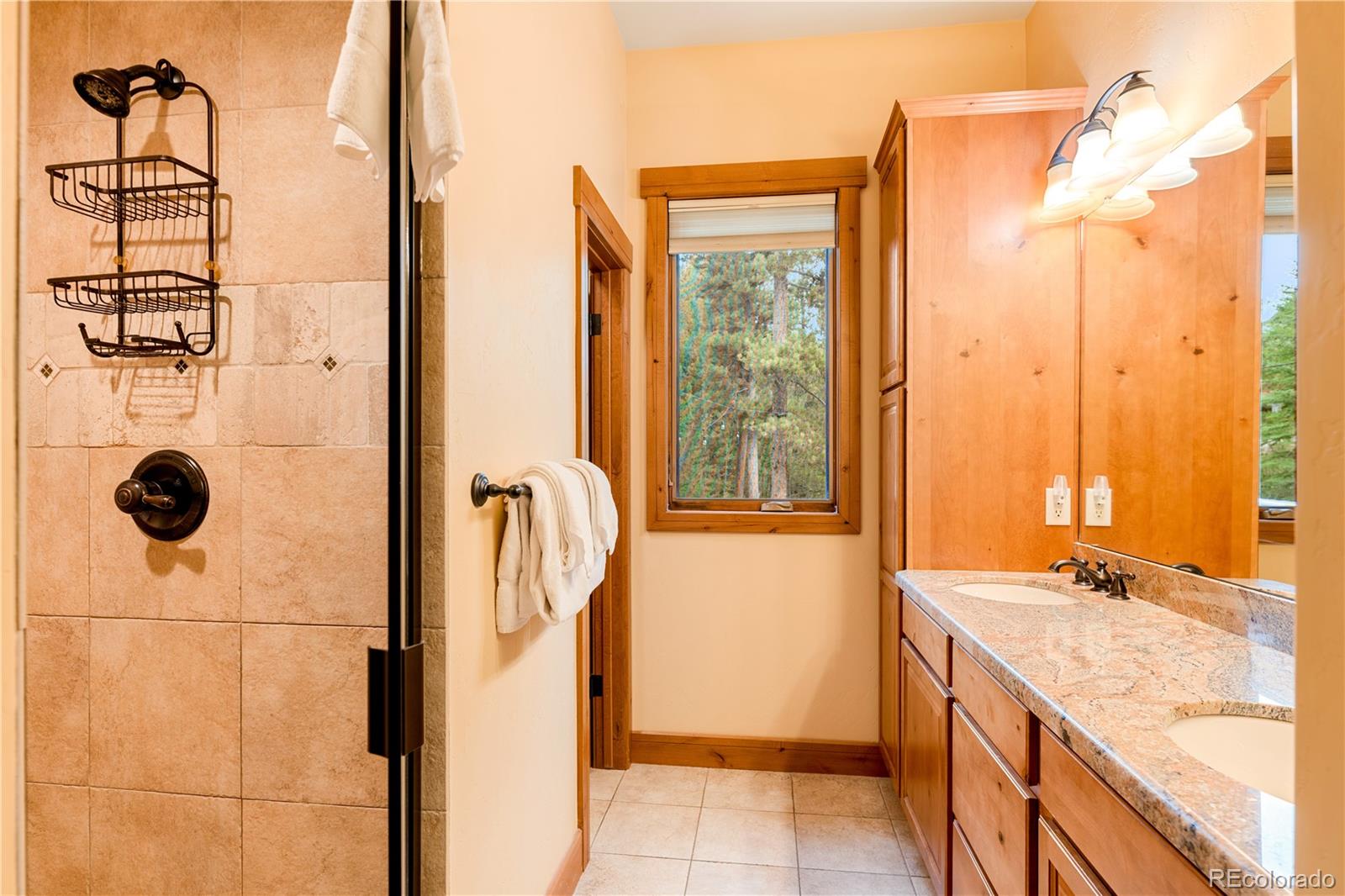 MLS Image #19 for 91  snowshoe circle,breckenridge, Colorado