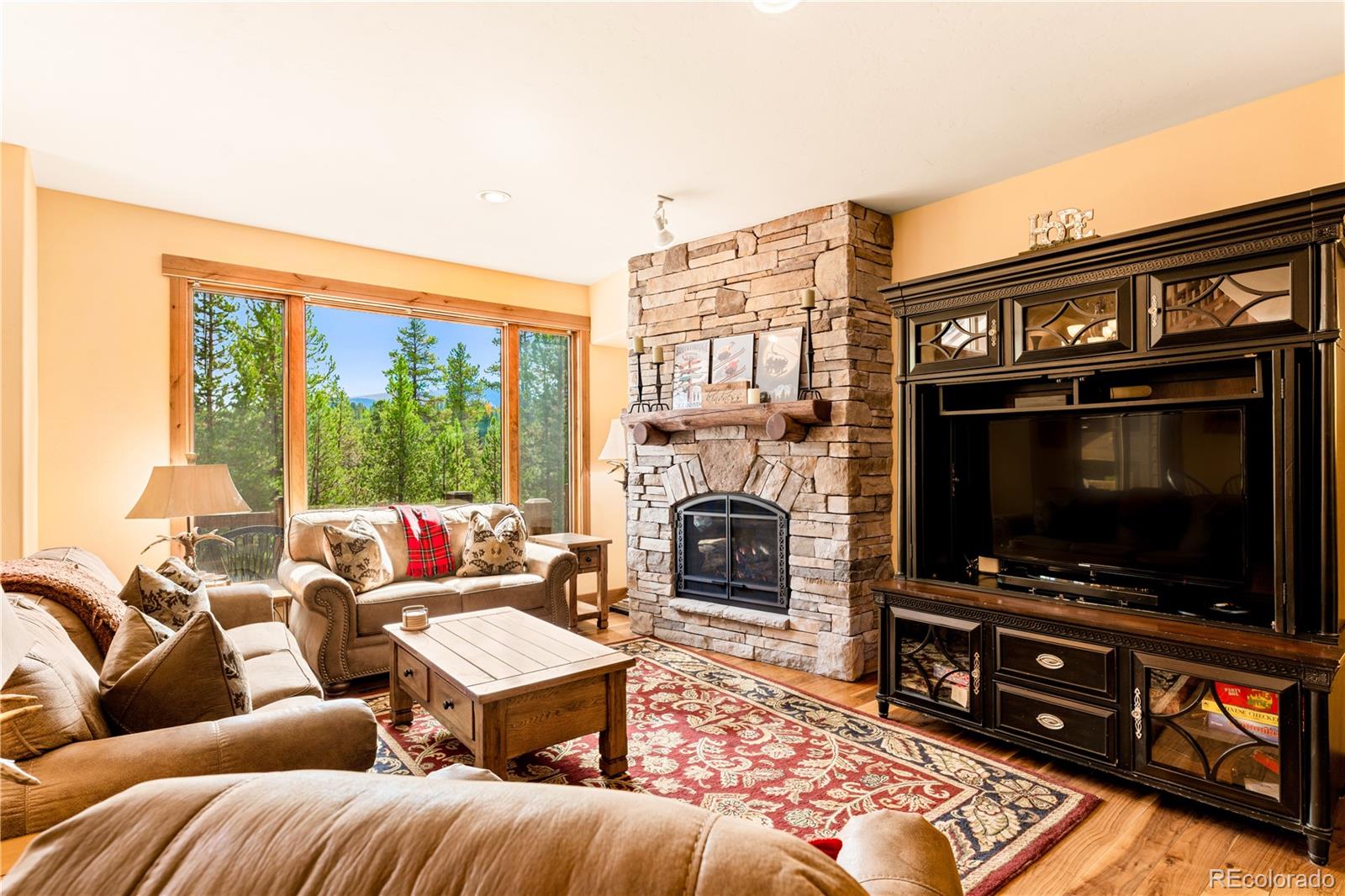 MLS Image #2 for 91  snowshoe circle,breckenridge, Colorado