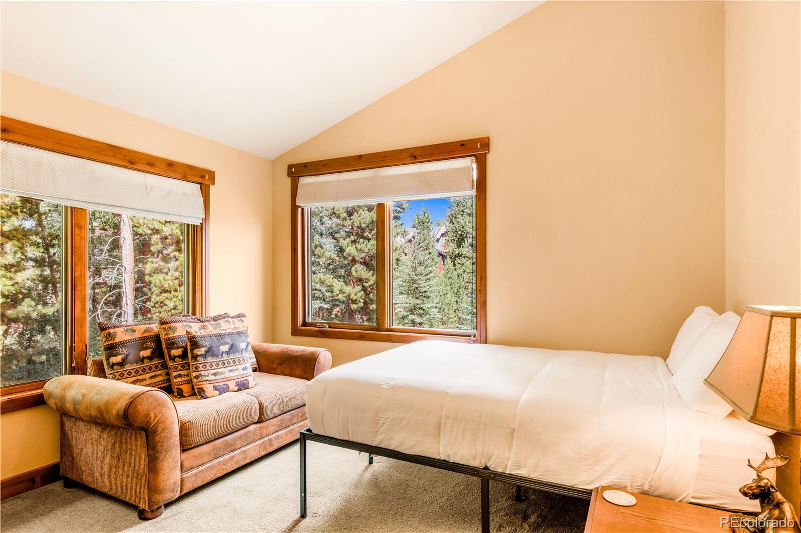 MLS Image #20 for 91  snowshoe circle,breckenridge, Colorado