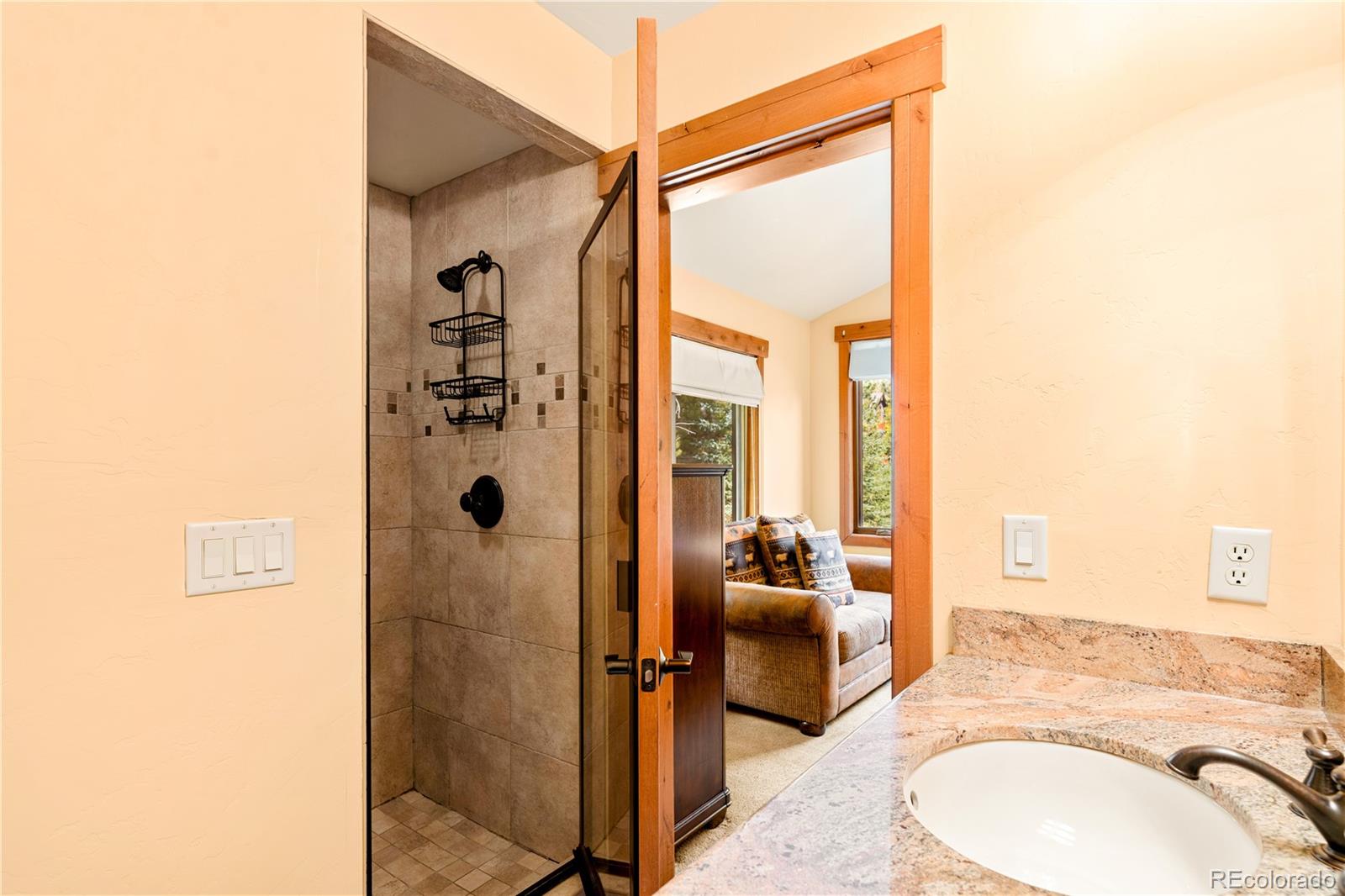 MLS Image #21 for 91  snowshoe circle,breckenridge, Colorado