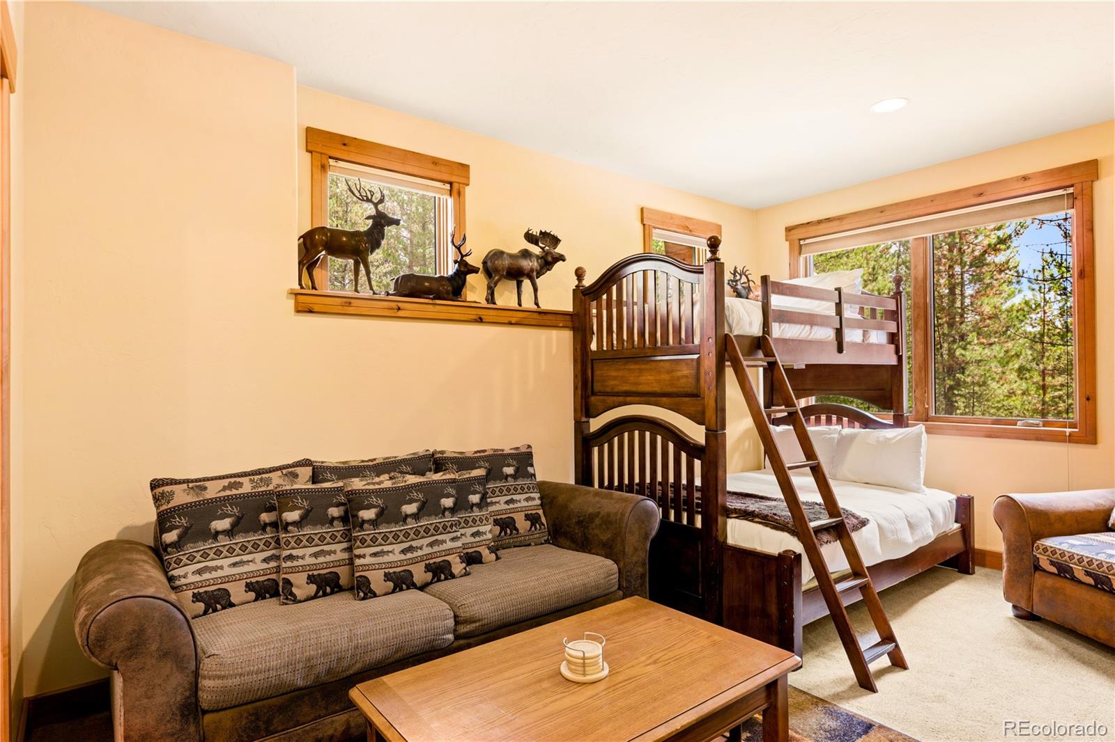 MLS Image #22 for 91  snowshoe circle,breckenridge, Colorado