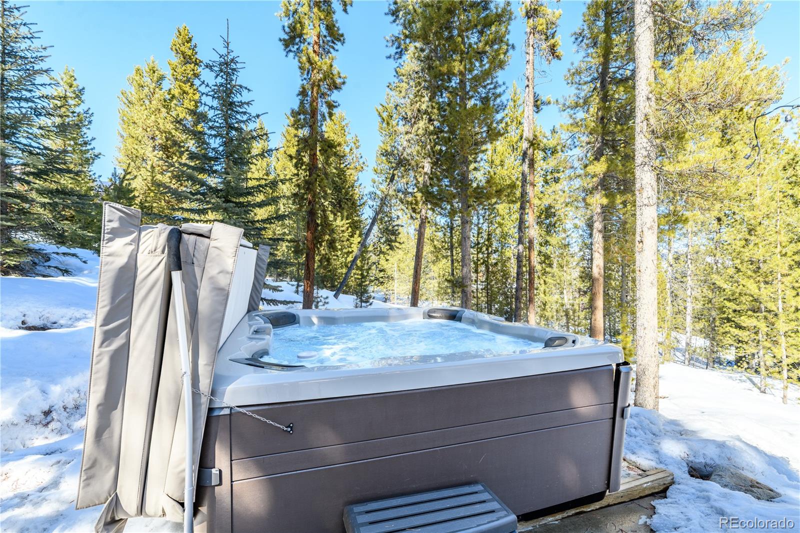 MLS Image #27 for 91  snowshoe circle,breckenridge, Colorado