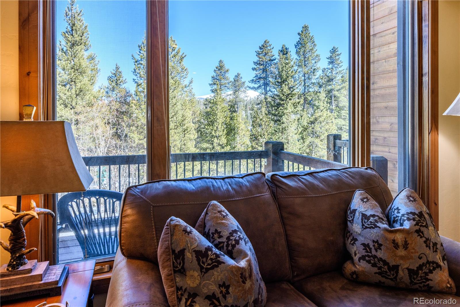 MLS Image #3 for 91  snowshoe circle,breckenridge, Colorado