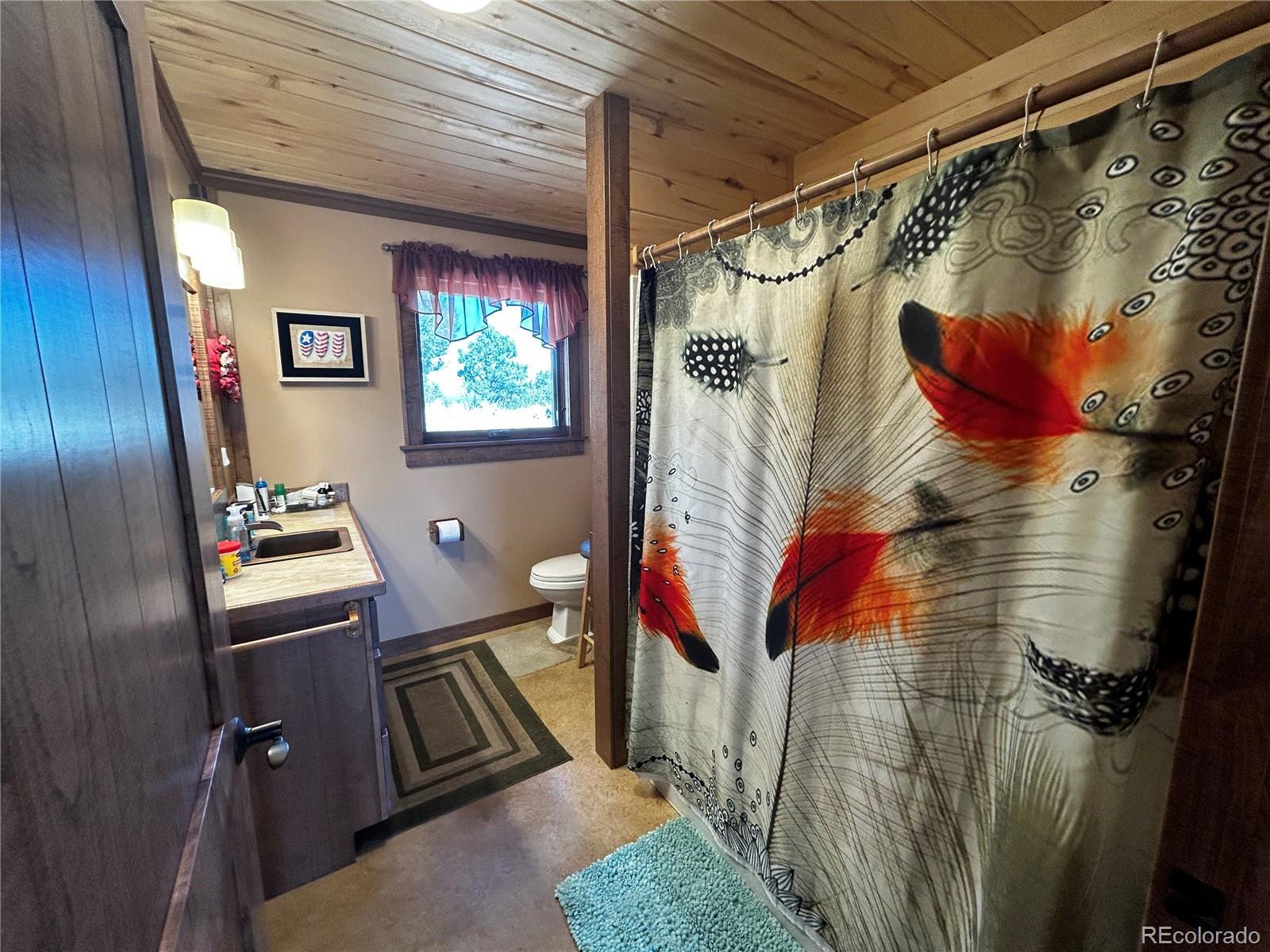 MLS Image #13 for 850  insula road,westcliffe, Colorado