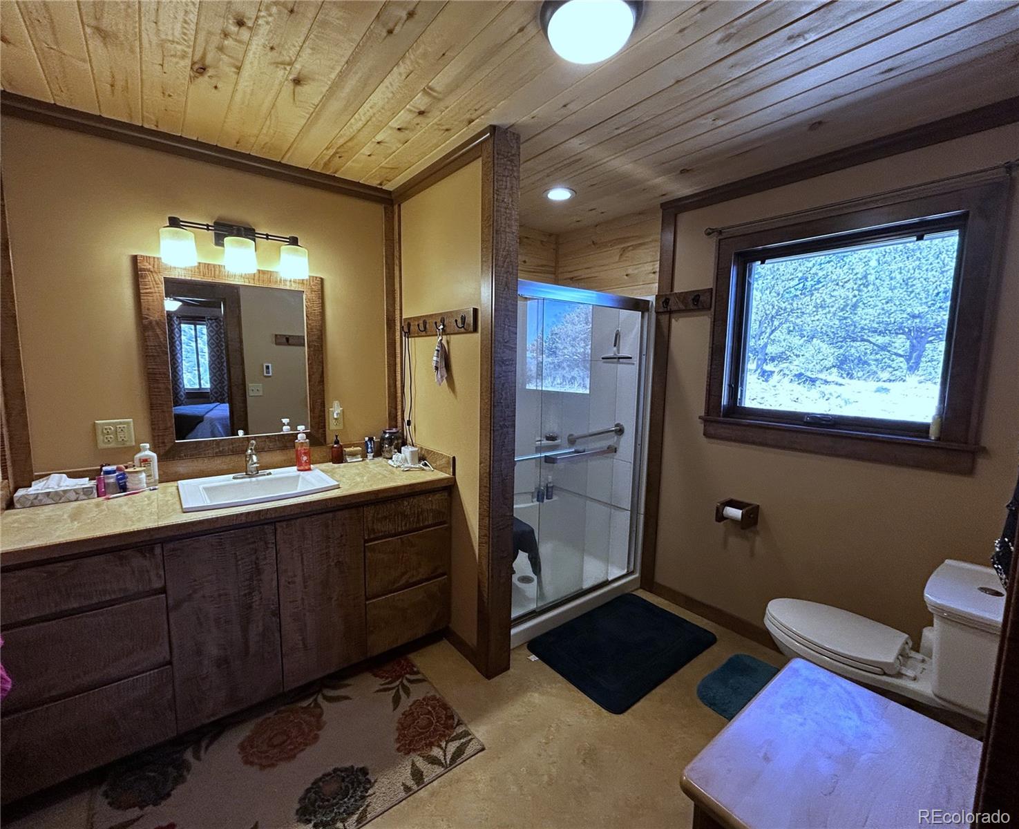 MLS Image #9 for 850  insula road,westcliffe, Colorado