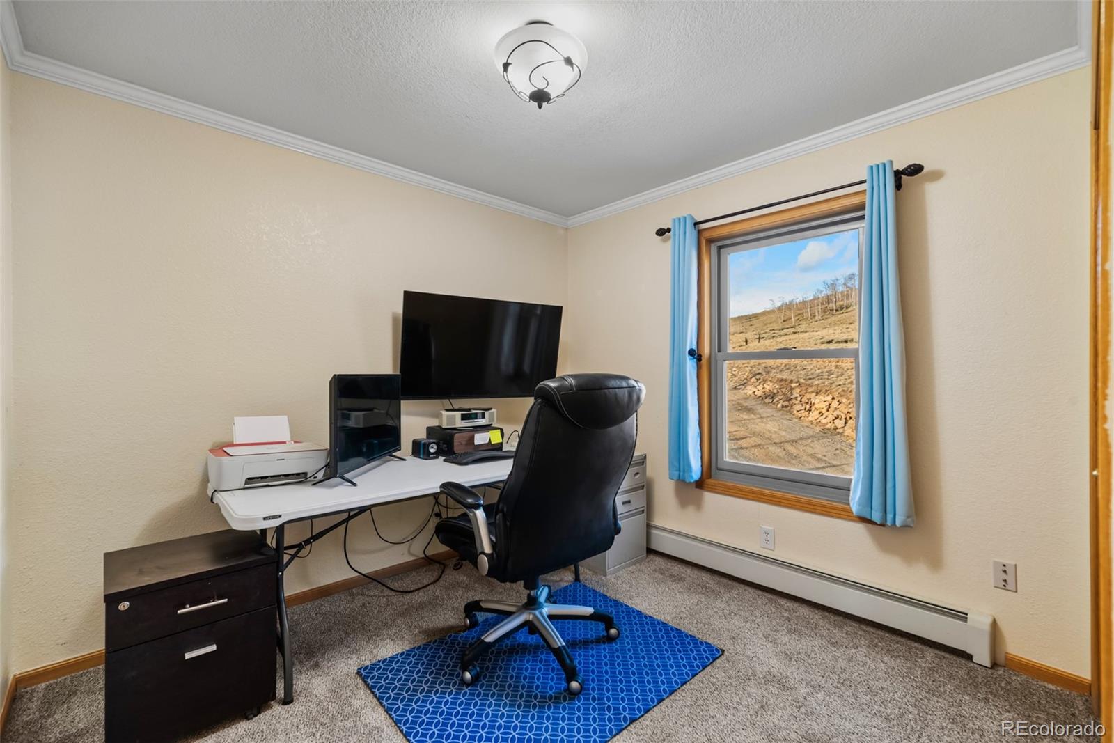 MLS Image #15 for 4109  county road 5 ,fairplay, Colorado