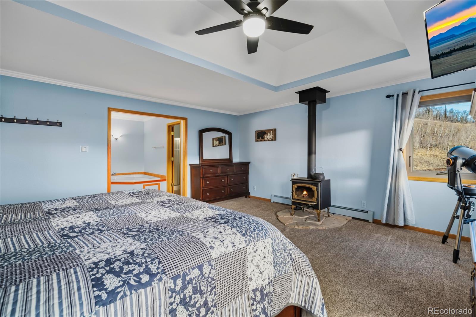 MLS Image #18 for 4109  county road 5 ,fairplay, Colorado