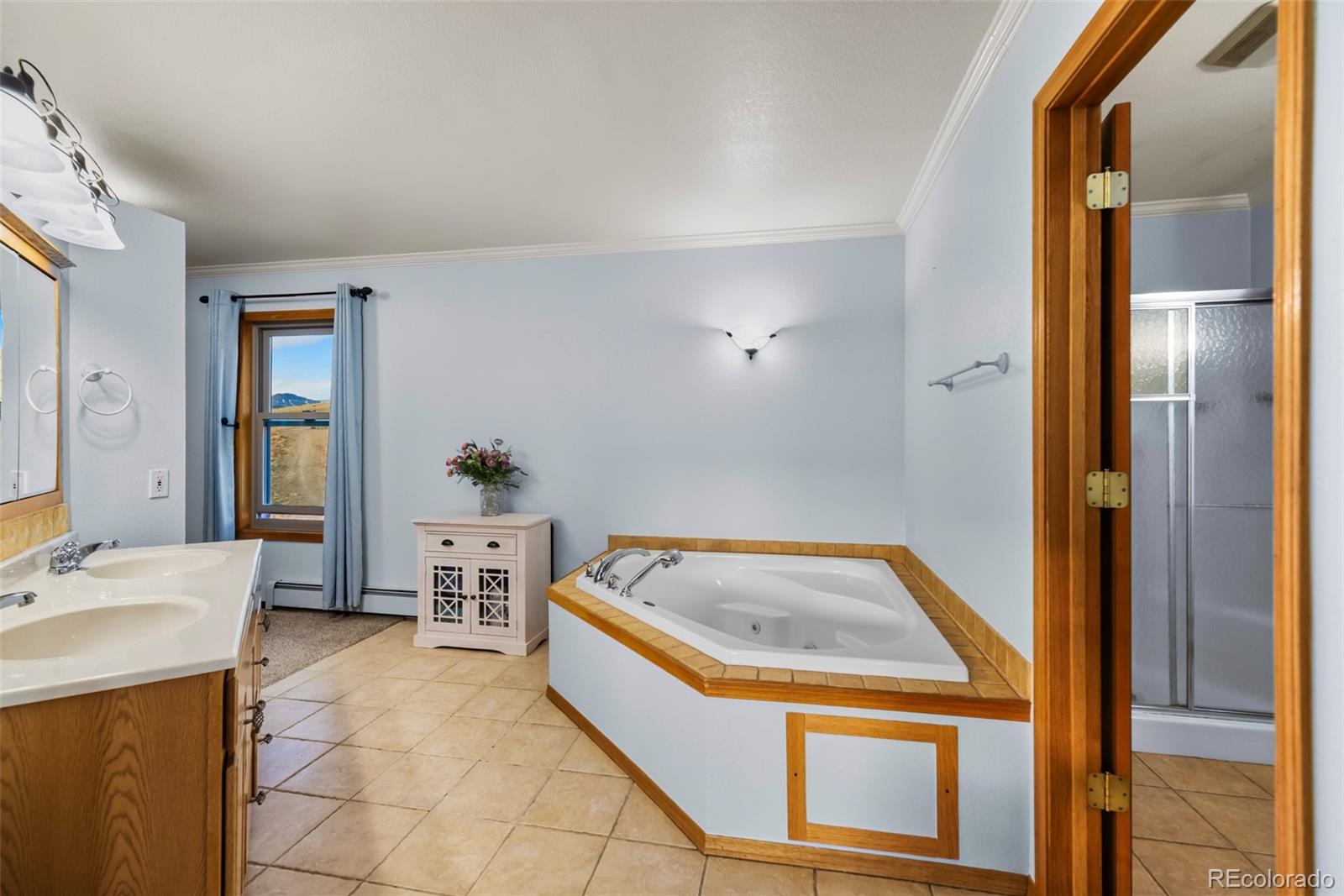 MLS Image #21 for 4109  county road 5 ,fairplay, Colorado