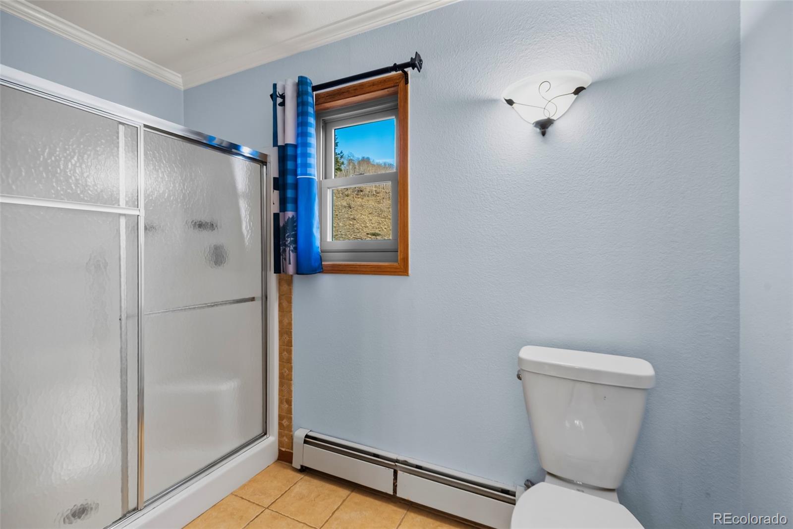 MLS Image #22 for 4109  county road 5 ,fairplay, Colorado