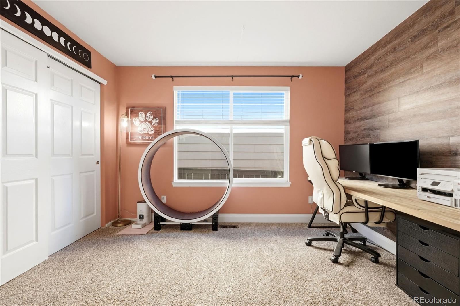 MLS Image #18 for 4844  apollo bay drive,highlands ranch, Colorado