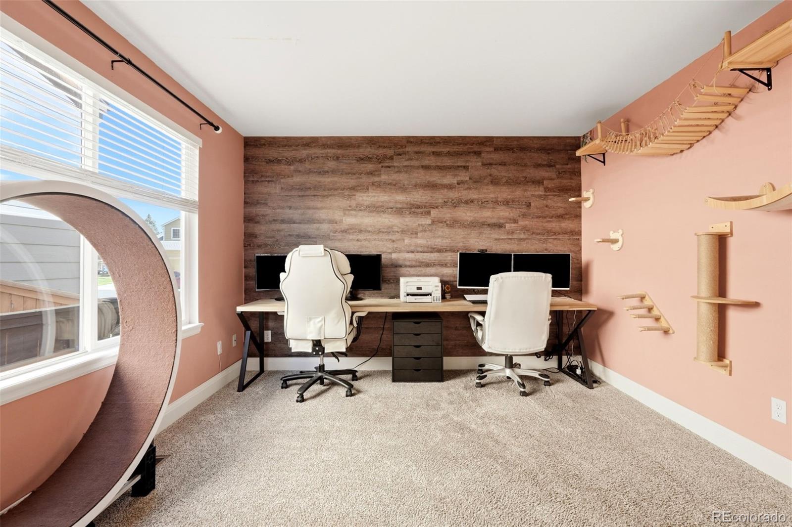 MLS Image #19 for 4844  apollo bay drive,highlands ranch, Colorado