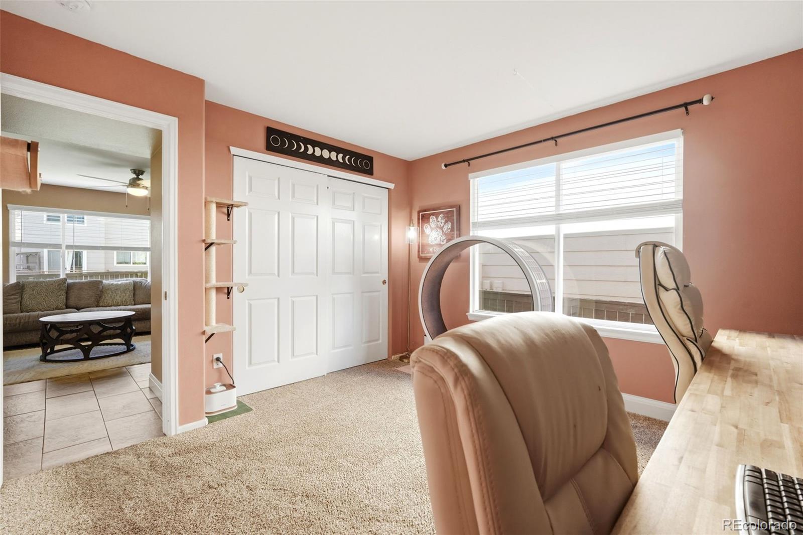 MLS Image #20 for 4844  apollo bay drive,highlands ranch, Colorado