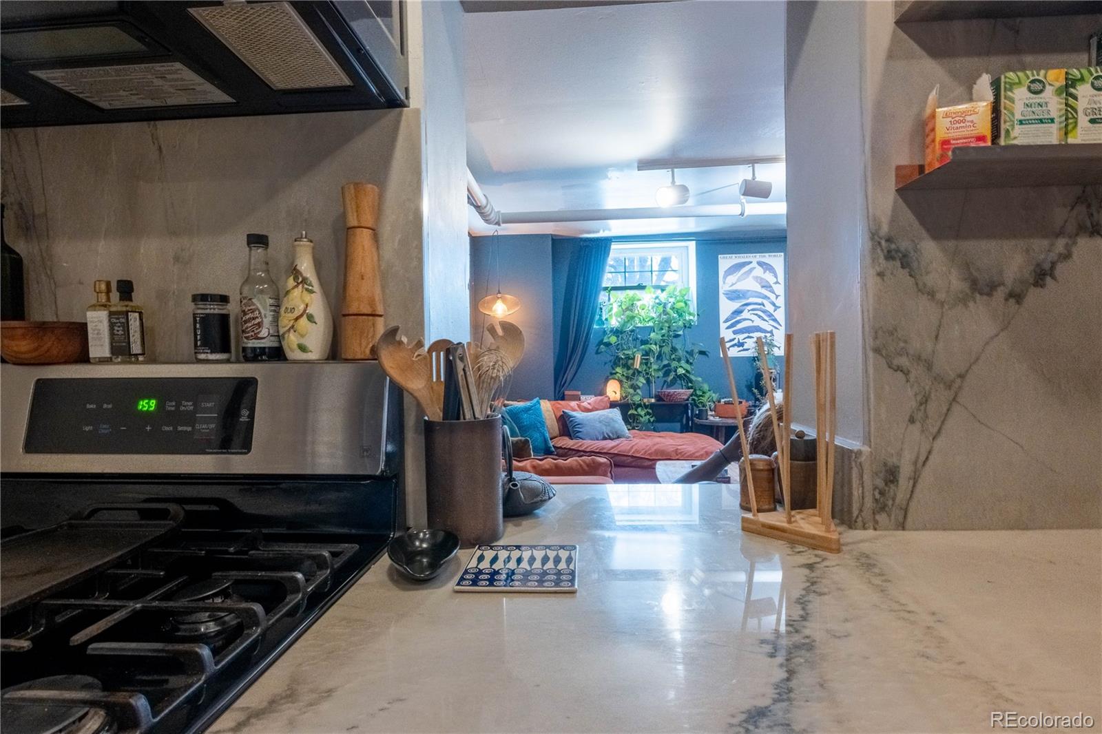 MLS Image #22 for 1301 e 9th avenue 100,denver, Colorado