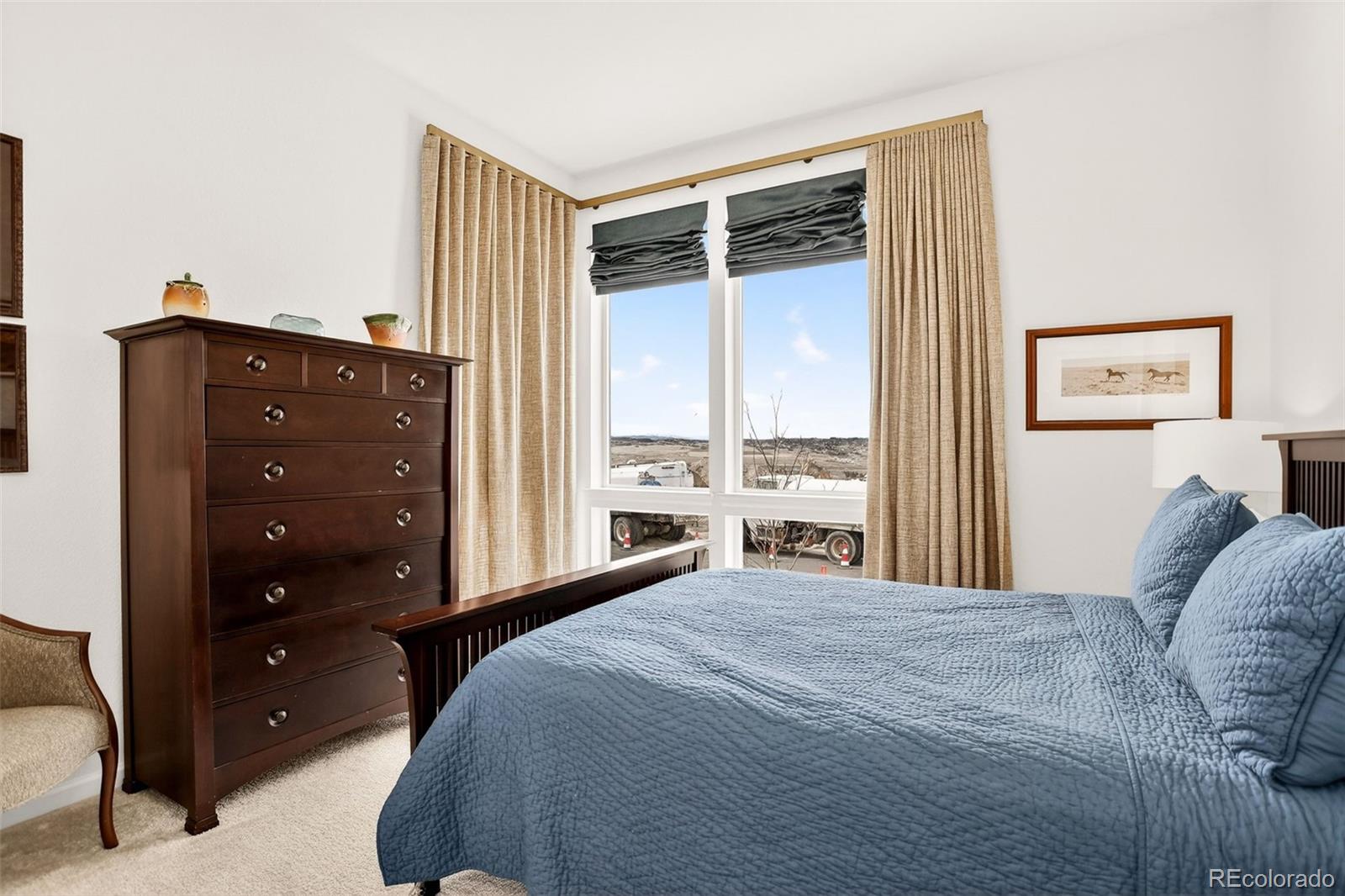 MLS Image #10 for 4  leafy aster lane,castle rock, Colorado