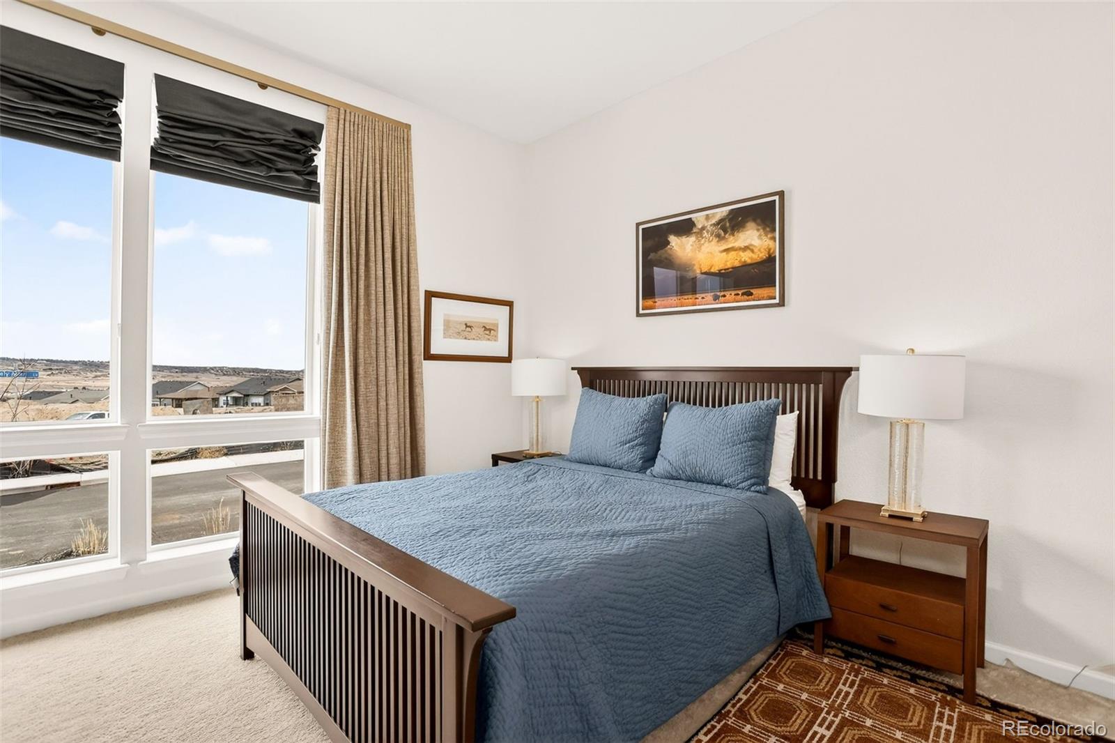 MLS Image #13 for 4  leafy aster lane,castle rock, Colorado