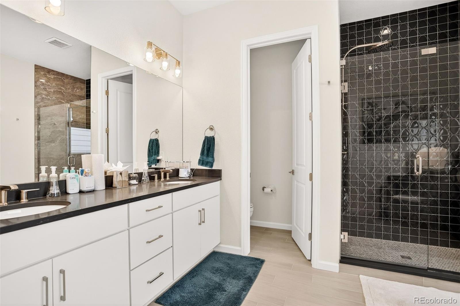 MLS Image #22 for 4  leafy aster lane,castle rock, Colorado