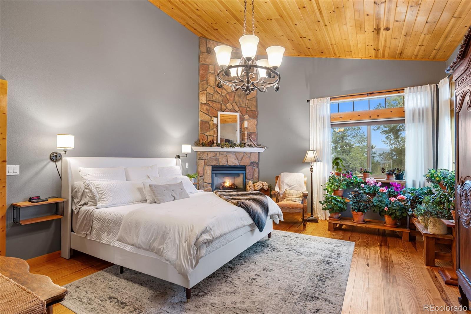 MLS Image #10 for 1366  vagabond creek drive,lake george, Colorado