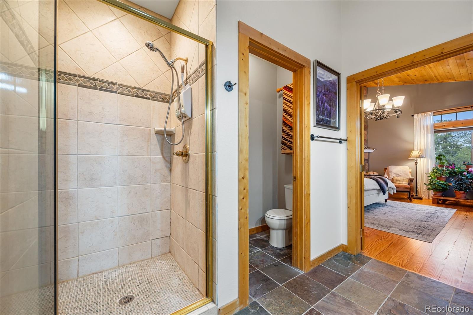 MLS Image #12 for 1366  vagabond creek drive,lake george, Colorado