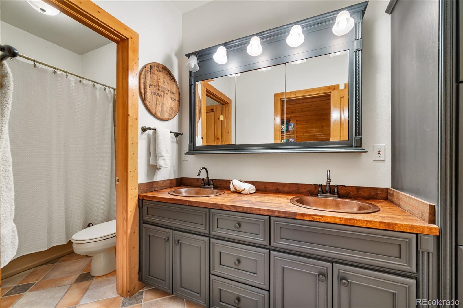 MLS Image #14 for 1366  vagabond creek drive,lake george, Colorado