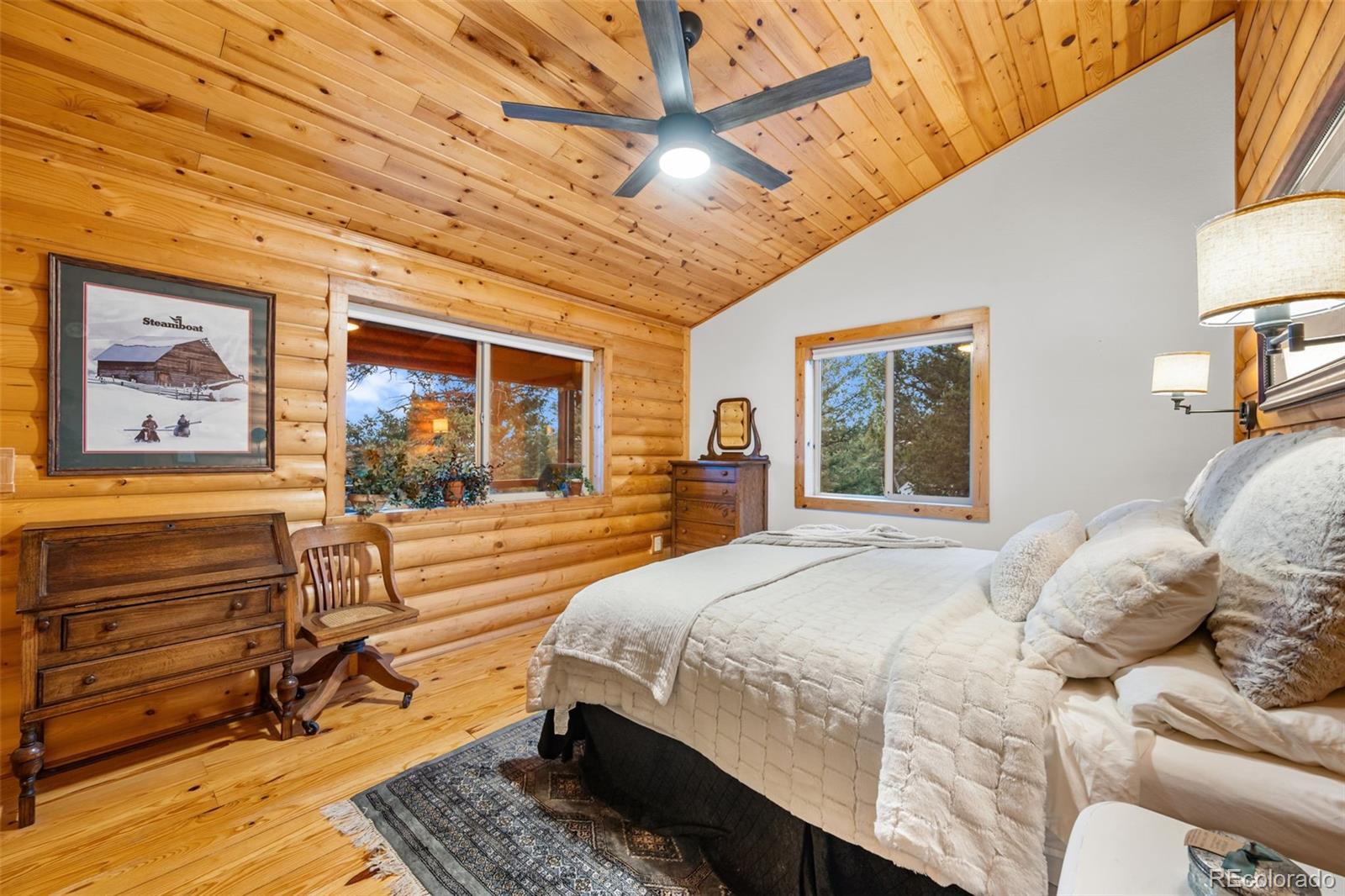 MLS Image #15 for 1366  vagabond creek drive,lake george, Colorado