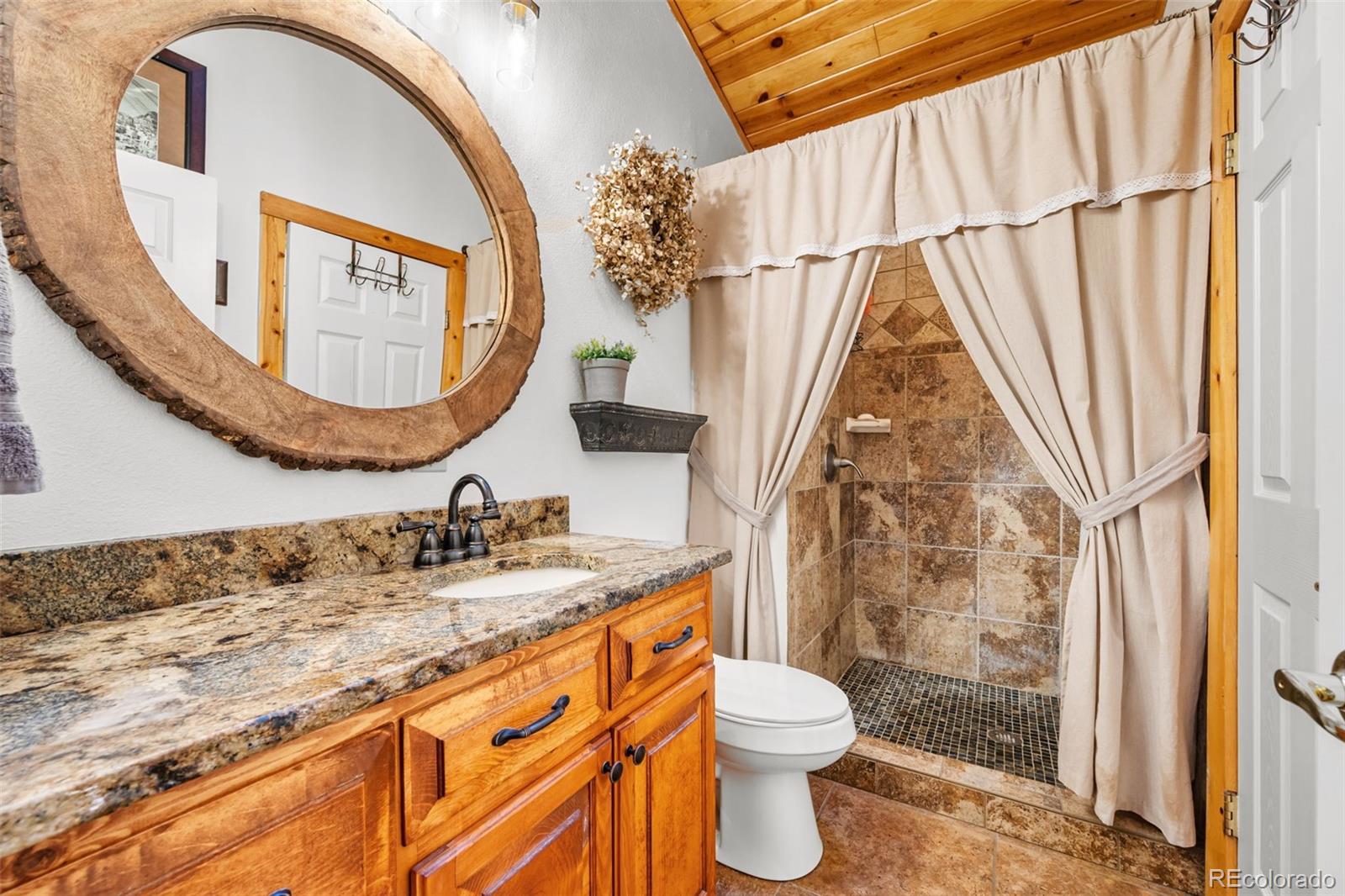 MLS Image #16 for 1366  vagabond creek drive,lake george, Colorado