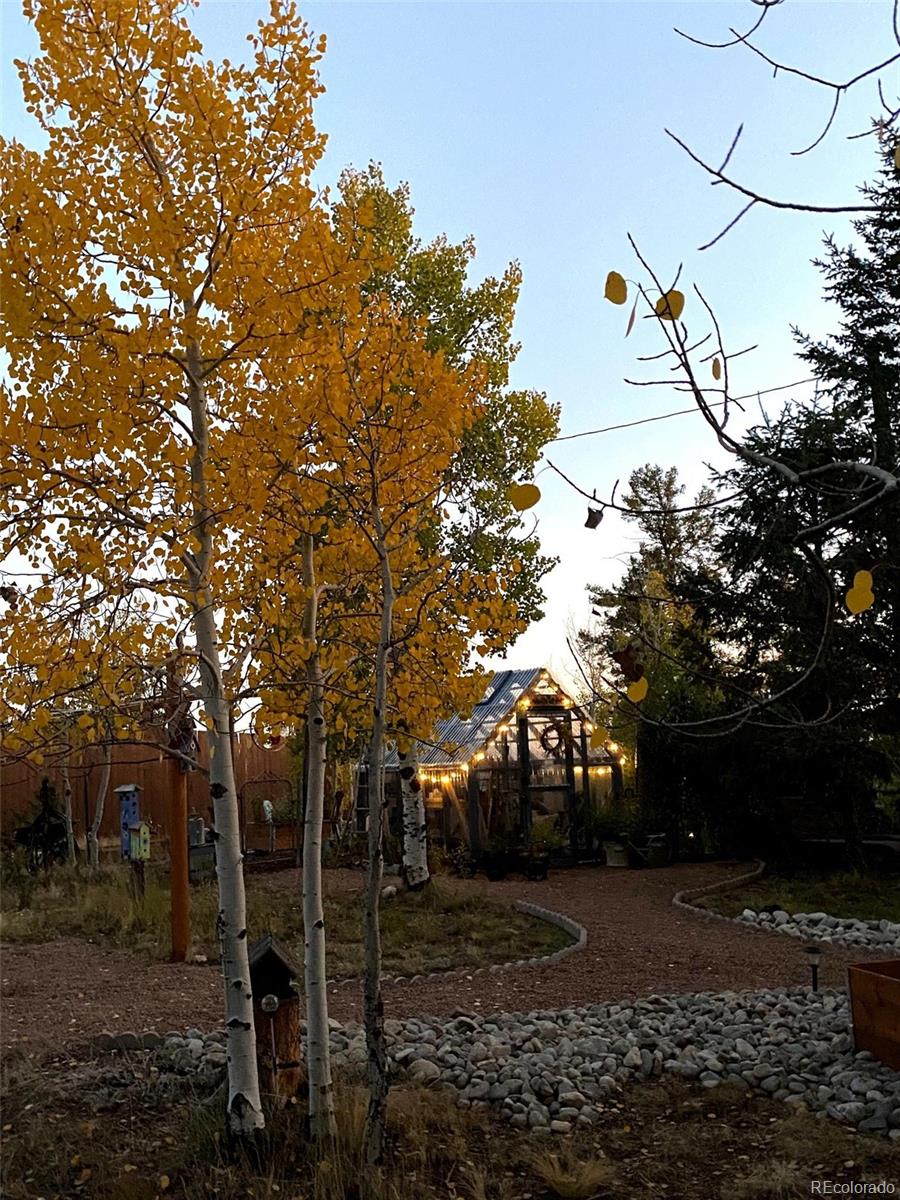 MLS Image #23 for 1366  vagabond creek drive,lake george, Colorado