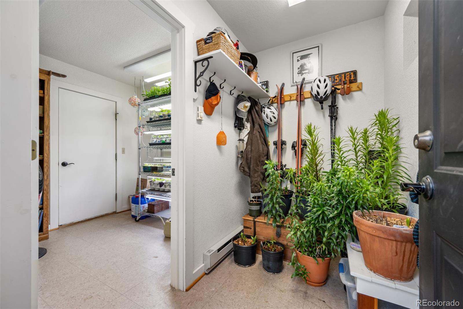 MLS Image #25 for 1366  vagabond creek drive,lake george, Colorado